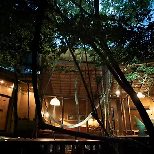 https://ojo-de-rbol-boutique-cabin-in-the-jungle-relax.tulum-hotels.net