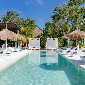 Hotel Jungle Boutique - Adults Only