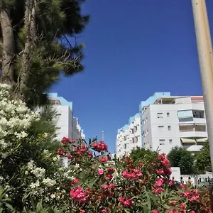 https://arcos-7.es-andalucia.com